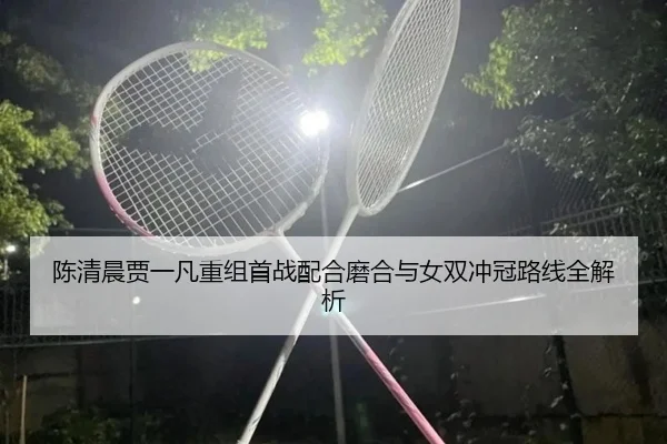 陈清晨贾一凡重组首战配合磨合与女双冲冠路线全解析